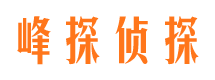 临泽市场调查